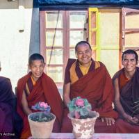 Lamas on the terrace, Kopan, 1982
