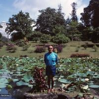 Lama, Sri Lanka, 1983