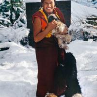 Tushita, 1982