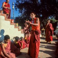 Thubten Sherab debating; lamas look on, Kopan, 1979