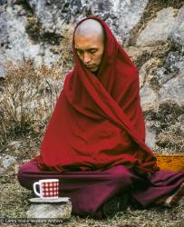 Rinpoche, Mende, 1978