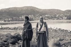 Lamas, Auckland, 1974