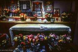 Lama's casket in the Vajrapani gompa, 1984