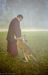 Rinpoche with kangaroo, 1983