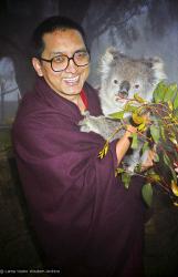 Rinpoche with koala, 1983