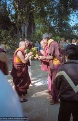 Lama arriving at Kopan, final teaching, 1983