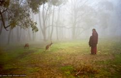Rinpoche with kangaroo, 1983