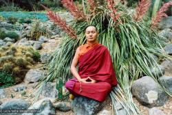 Lama meditating, California, 1974