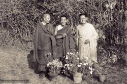 Portrait of the Lamas, 1971