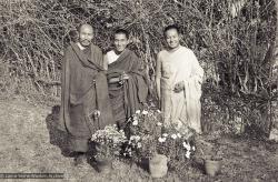 Portrait of the Lamas, 1971
