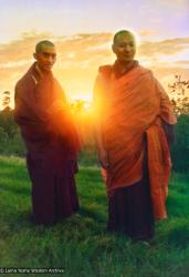 Lamas at dawn, Chenrezig Institute, 1975