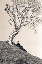 Anila Ann under a tree, 1972