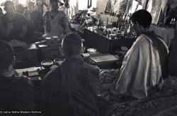 Installing portrait of HH Dalai Lama, Kopan Gompa, 1972