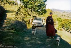 Zina walking to the Kopan Monastery, 1972