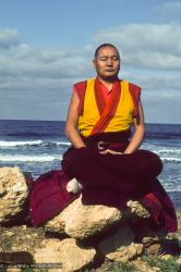 Lama at the Ocean, 1983