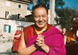 Lama at ILTK, 1983