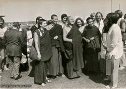 The lamas arriving at Maroochydore airport, 1974