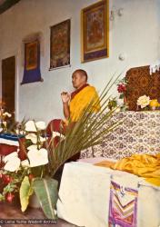 Lama, Auckland, 1974