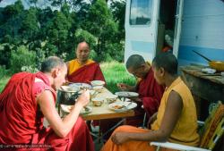 Lamas having lunch, 1975