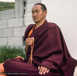 Lama at CI, 1975