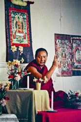 Lama at Olinda, 1976