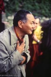Lama, ILTK, 1982