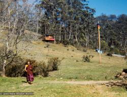 Lama at Diamond Valley, 1974