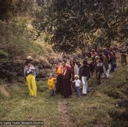 Walking from Diamond Valley to Eudlo land
