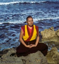 Lama by the ocean, Sicily, 1983