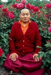 Lama in Vancouver, 1978
