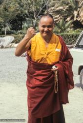Lama, Zurich, 1978