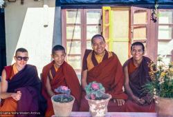 Lamas on the terrace, Kopan, 1982
