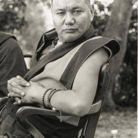 ILTK, 1980