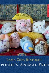 Book cover of Rinpoche’s Animal Friends by Lama Zopa Rinpoche. The design features a collection of soft plush toys.